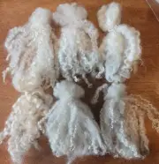 Wool Santa Beards Gnomes Doll Hair Natural Soft Curly Lamb Locks 6 Pk 3-3 1/2"
