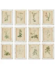 Napa Home & Garden Set of 12 Framed Wild Flower Botanical Prints