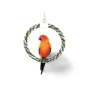 Jw Insight Swing N Perch Ring