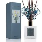 COCORRÍNA Premium Reed Diffuser Set with Preserved Baby's Breath & Cotton Stick
