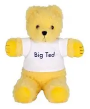 Play School Beanie - Big Ted 18cm