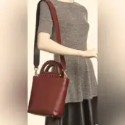 Celine Lefebure Suzanne Leather Satchel NWT & Dust Bag