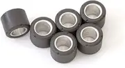 RinParts 1102480 Zoomer Weight Roller, Type G2, 0.2 oz (5 g), Pack of 6