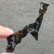 26.35Ct Brenham Olive Meteorite Pendant Olive Meteorite Slice