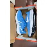 NIKE AIR ZOOM PEGASUS 39 TB [DM0164-404] 男 慢跑鞋 運動 路跑 小飛馬 水藍