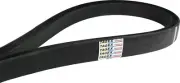 Tagex Z34121 - 80356024 Variator Drive V-Belt for New Holland and John Deere