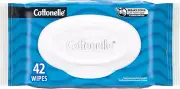 Flushable Wet Wipes for Adults, 1 Flip-Top Pack, 42 Wipes, Alcohol-Free, Plastic