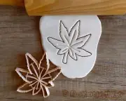 Leaf Leaves Nature Biology Tree Oak Beech Birch Maple Cookie Cutter