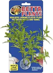 Zoo Med Laboratories AZMBP24 Betta Plant Maple Leaf