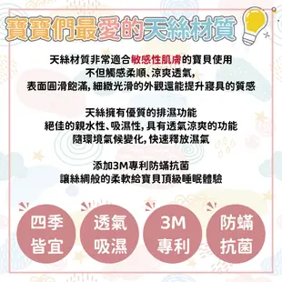 🎀愛北鼻 台灣現貨天絲三件組 幼兒園睡墊 附提袋 台灣製 3M專利吸濕排汗涼被睡墊 三件組兒童睡袋 幼稚園睡袋