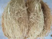 Coconut Husk Coir Fiber to Planting Orchid Anthurium Tropical plants