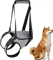 Canine Mobility Support Harness – Rear Leg Lift Belt, Walking Aid Strap | Comfortable Dog Harness with Handle for Injury Recovery, Senior Pets Assistance and Weak Back Legs Support