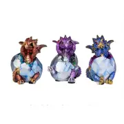 [MDI Australia] Wise Baby Hatchling Dragon (1pc Random Style)
