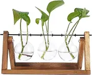 Feitore Desktop Plant Terrariums Glass Planter Bulb Vase Modern Propagation Station Hydroponic Vases with Retro Solid Wooden Stand for Hydroponics Plants Home Garden Wedding Decor (3 Vases)
