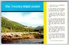 c1960s Twenty Third Psalm Church Herd of Sheep Vintage Postcard