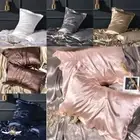 Skin-friendly Mulberry Silk Pillowslip Pillow Case Pillows Cover Pillowcase