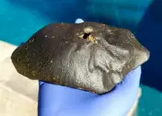 Meteorite**NWA Unc.; Flight Oriented Individual**1352.70 grams,Highest Quality!