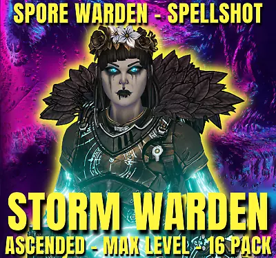 TINY TINA WONDERLANDS - STORM WARDEN BUILD - 16 PACK - PS5/PS4/XBOX/PC