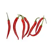 Organic Cayenne Chillies Red - Whole Kg | Fresh, healthy organic delivery | Doorstep Organics