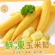 鮮凍玉米筍 切斷 整支-1KG冷凍蔬菜【歐嘉水產】餐廳供應 批發 團購 露營 烤肉