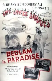 Bedlam In Paradise poster Three Stooges- Larry Fine bottom cen- 1955 Old Photo