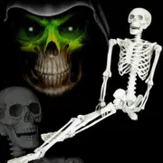 1pc 90cm Full Body Skeleton Halloween Human Skeleton Head Body Model Life Size Model House Prop Medical AU