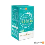 ✨台灣品牌📦 順天本草 好茯氣 益生菌 4G 15包/盒 開胃漢補十珍 漢方 調理 保健品 營養品 #丹丹悅生活