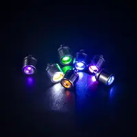 在飛比找蝦皮購物優惠-天惠~LED小夜燈DIY手工材料水晶滴膠貓爪鑰匙扣材料彩燈聖