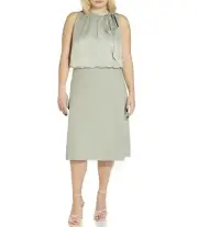 adrianna papell dress 16