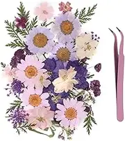 40Pcs Natural Pressed Dried Flowers, Dried Flower for Resin Accessories, Scrapbooking, DIY Art Crafts, Epoxy Resin Jewelry Molds, Candle, Nails Décor, Craft Making