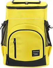 Insulated Cooler Backpack, 21L Hard Liner, Picnic Lunch Bag for Camping, BBQ, Outdoor Activities