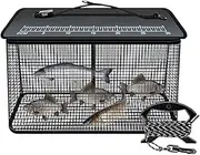Fish Basket - 47L Fishing Holder for Caught Fish | Foldable Container Net, Trap Cage Floating Outdoor Gear for Minnows Shrimp Bait Storage
