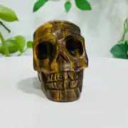 258g Natural Tiger Eye Quartz Hand Carved Crystal Skull Meditation Medium