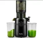 Nifty Cold Press Juicer Machines,Slow Masticating Juicer Machines with 1.1 L