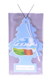 Little Trees Cardboard Hanging Car, Home & Office Air Freshener, Summer Linen
