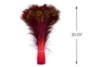50 Pieces - 20-25" Red Dyed Over Natural Long Peacock Tail Eye Wholesale Feather