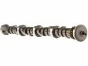Melling Stock Camshaft fits Ford Galaxie 500 1962 38TGVB (for: Ford)
