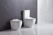 Hani Back-to-Wall Toilet Suite – Gloss White