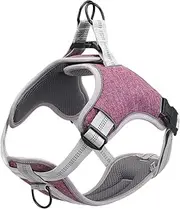 BESPORTBLE Adjustable Reflective Dog Harness Breathable Vest Type Pet Chest Back Straps for Comfortable No Pull Walking Lightweight and Durable Purple