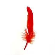 Goose Pointer Feathers 10 grams - Scarlet Orange ((SECONDS))