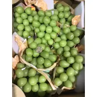 在飛比找蝦皮購物優惠-日本空運✈️長野麝香葡萄🍇