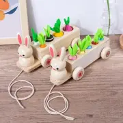 Wooden Pulling Carrot Board Game Shape Matching Size Cognition Sorting Toys For