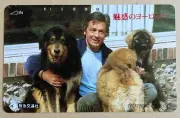 Rare ALAIN DELON Telephone Calling Phone Card from Japan 1990s UNUSED