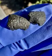 meteorite: Hassi khebi Weight 1.266 Grams! Beautiful Chondrules