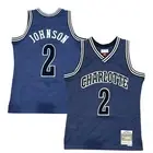 MITCHELL & NESS NBA Swingman Jersey Charlotte Hornets 1994-95 Larry Johnson SZ M