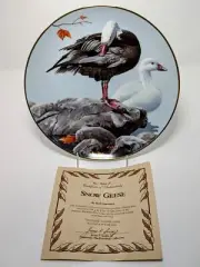 Snow Geese- R. Lawrence: North American Waterbirds, Hamilton #4626A Box-COA