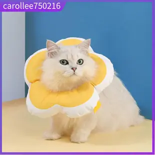 Cute Elizabethan Collar Safety Pet Supplies Cat Collar for A