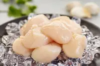 在飛比找松果購物優惠-【凍凍鮮】北海道生食級4S干貝10顆入/包 180g (0.