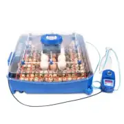 Borotto Incubator Lumia 56 BF Automatic Hatching Eggs Hen Turkey Duck Birds