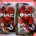 【日本熊本草莓 淡雪粉色草莓】產季已結束 只賣雙北熊本外表鮮紅果肉鮮甜 日本草莓中較親民的草莓淡雪古都華珍珠姬三色草莓